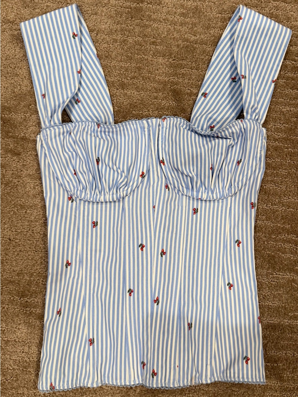 We Wore What Blue Stripe Bustier Corset Tank Top with Red Floral Embroidery